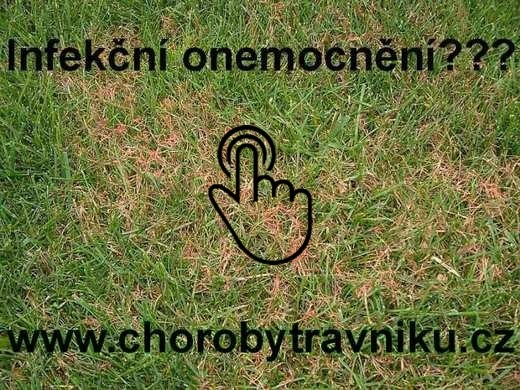Infekční onemocnění v trávníku Infekční onemocnění v trávníku